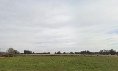 Campo en venta - 32.874Mts2 - Mechongue, General Alvarado