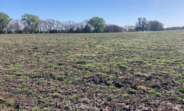 Campo en venta - 32.874Mts2 - Mechongue, General Alvarado