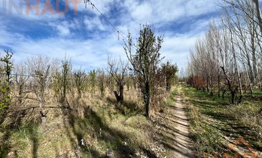 VENTA DE CHACRA CINCO HECTAREAS