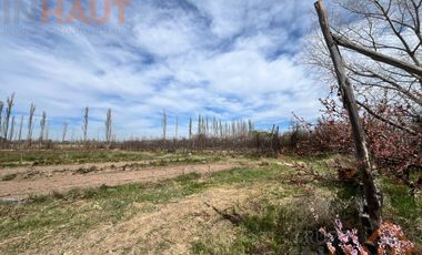 VENTA DE CHACRA CINCO HECTAREAS