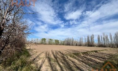 VENTA DE CHACRA CINCO HECTAREAS