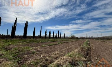 VENTA DE CHACRA CINCO HECTAREAS