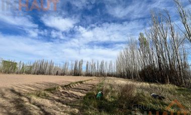 VENTA DE CHACRA CINCO HECTAREAS