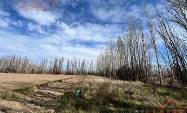 VENTA DE CHACRA CINCO HECTAREAS