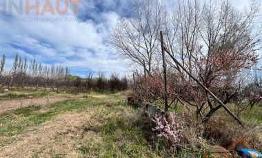 VENTA DE CHACRA CINCO HECTAREAS