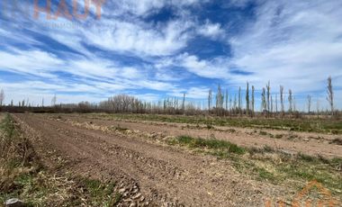 VENTA DE CHACRA CINCO HECTAREAS