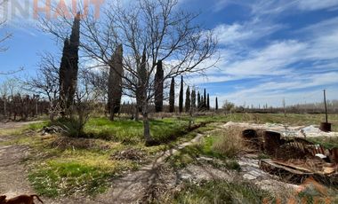VENTA DE CHACRA CINCO HECTAREAS