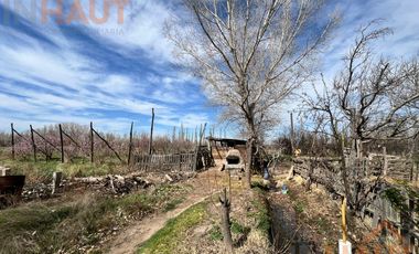 VENTA DE CHACRA CINCO HECTAREAS