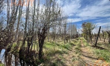 VENTA DE CHACRA CINCO HECTAREAS