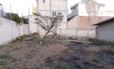 Casa en Venta en Actopan Hidalgo