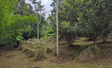 Venta Casa en Dapa Valle del Cauca