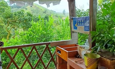 Finca Para La Venta En Marinilla