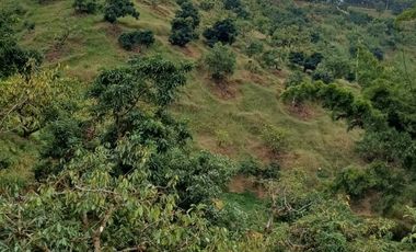 Finca Para La Venta En Marinilla