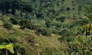 Finca Para La Venta En Marinilla