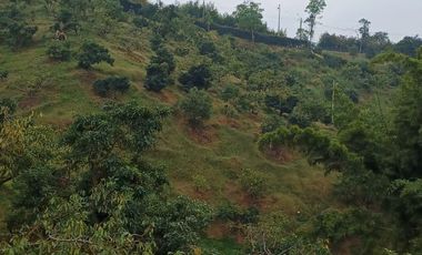 Finca Para La Venta En Marinilla