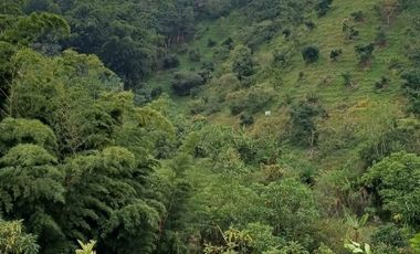 Finca Para La Venta En Marinilla