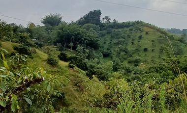 Finca Para La Venta En Marinilla