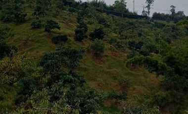 Finca Para La Venta En Marinilla