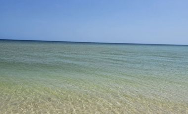 Terreno en San Benito Yucatan a 200 metros del mar