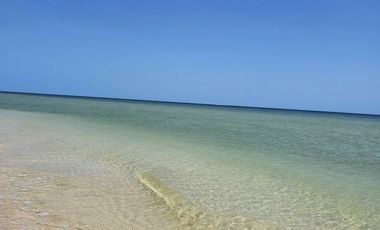 Terreno en San Benito Yucatan a 200 metros del mar