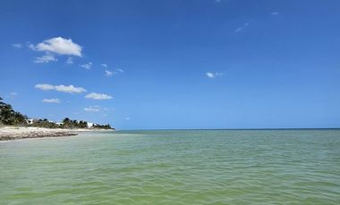 Terreno en San Benito Yucatan a 200 metros del mar