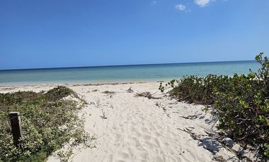 Terreno en San Benito Yucatan a 200 metros del mar
