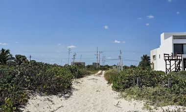Terreno en San Benito Yucatan a 200 metros del mar