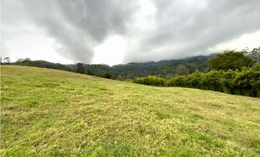 venta Lote Parcelacion Sector Fizebad