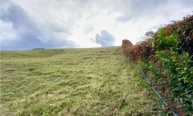 venta Lote Parcelacion Sector Fizebad