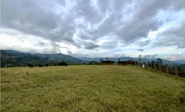 venta Lote Parcelacion Sector Fizebad