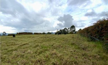 venta Lote Parcelacion Sector Fizebad