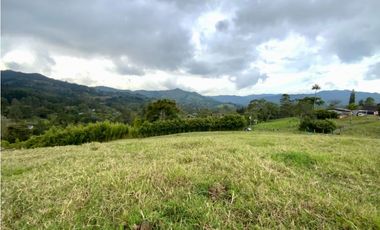 venta Lote Parcelacion Sector Fizebad