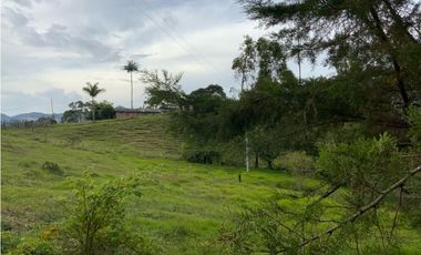 Lote Parcelacion Sector Fizebad