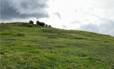 Lote Parcelacion Sector Fizebad