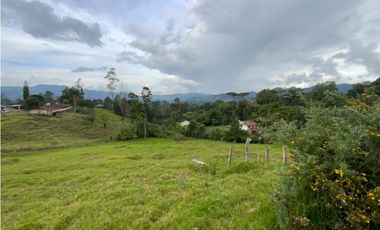 Lote Parcelacion Sector Fizebad