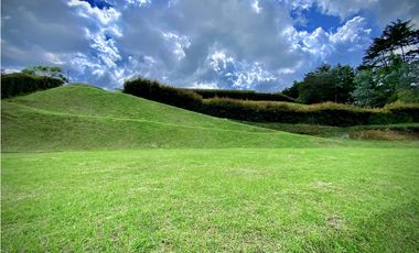 Venta Lote Vista Bosque Parcelacion Alto Palmas