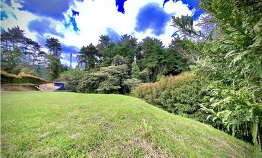 Venta Lote Vista Bosque Parcelacion Alto Palmas