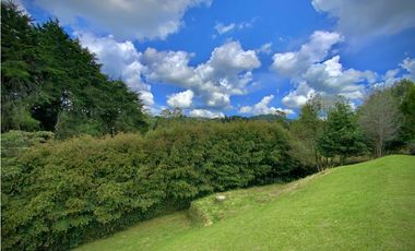 Venta Lote Vista Bosque Parcelacion Alto Palmas