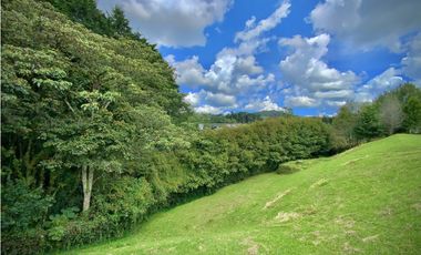 Venta Lote Vista Bosque Parcelacion Alto Palmas