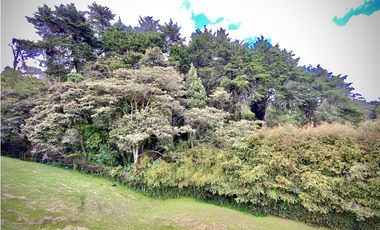 Venta Lote Vista Bosque Parcelacion Alto Palmas