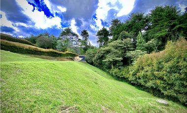 Venta Lote Vista Bosque Parcelacion Alto Palmas