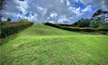 Venta Lote Vista Bosque Parcelacion Alto Palmas