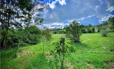 Venta Lote Parcelacion Alto Palmas