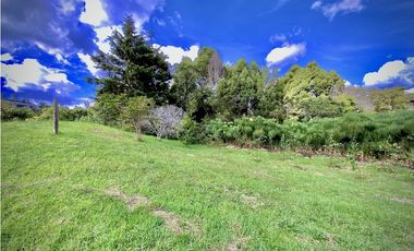 Venta Lote Parcelacion Alto Palmas