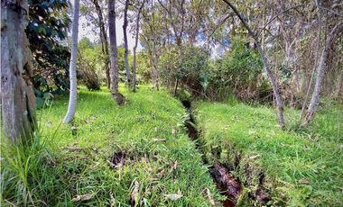 Venta Lote Parcelacion Alto Palmas