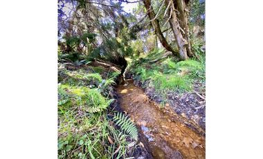 Venta Lote Parcelacion Alto Palmas
