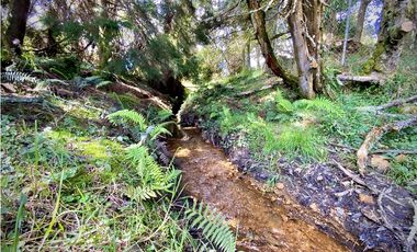 Venta Lote Parcelacion Alto Palmas