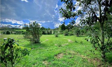 Venta Lote Parcelacion Alto Palmas