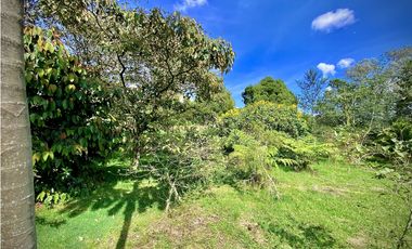 Venta Lote Parcelacion Alto Palmas