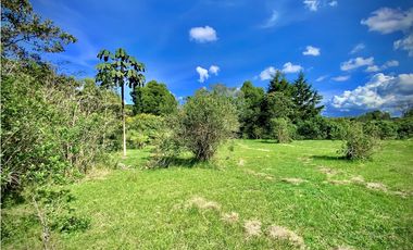 Venta Lote Parcelacion Alto Palmas